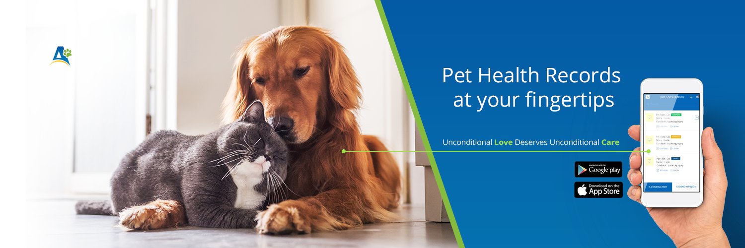 Activ4Pets's profile banner image