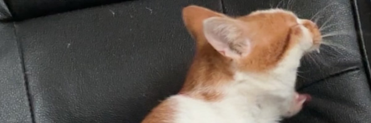 marvindebarge's profile banner image