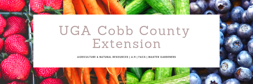 UGA Cobb Extension banner