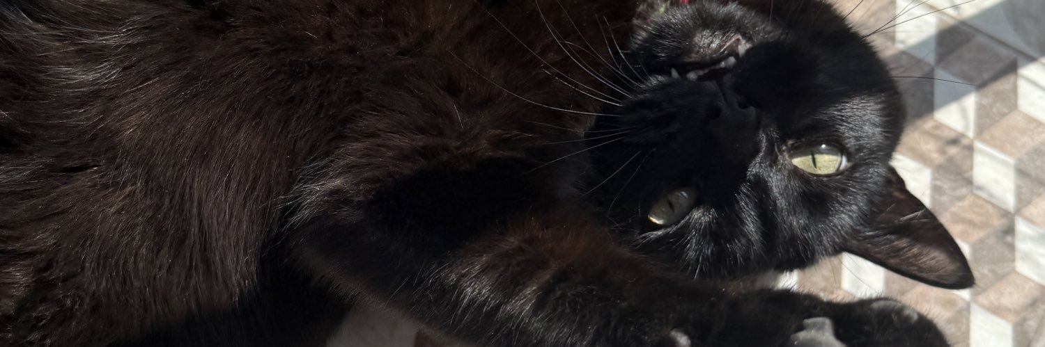 CoottyFaalco's profile banner image