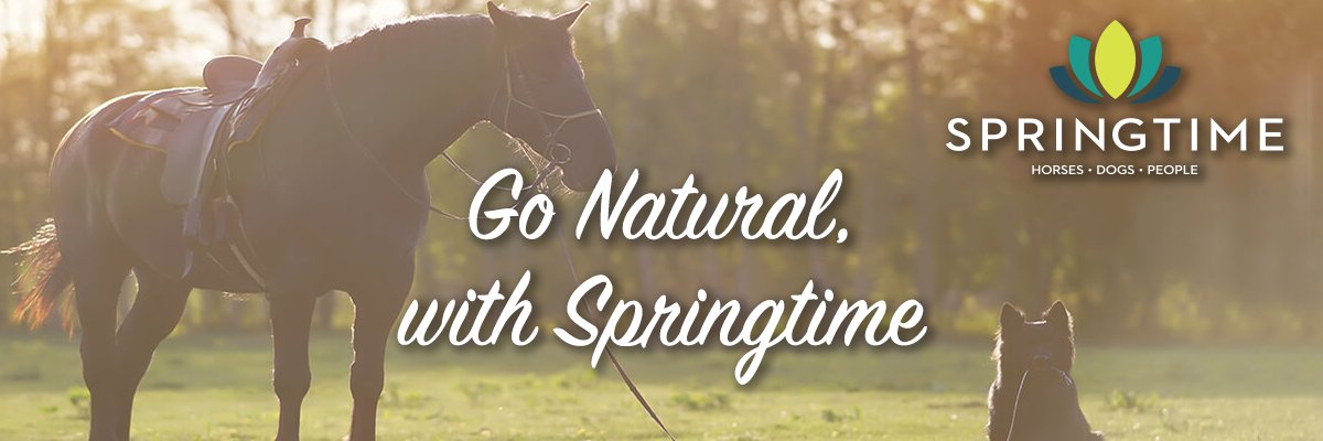 springtime_supp's profile banner image