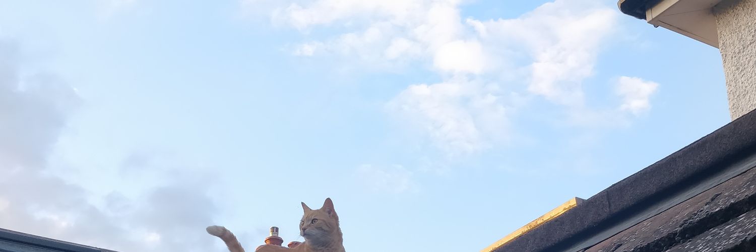 wwms63's profile banner image