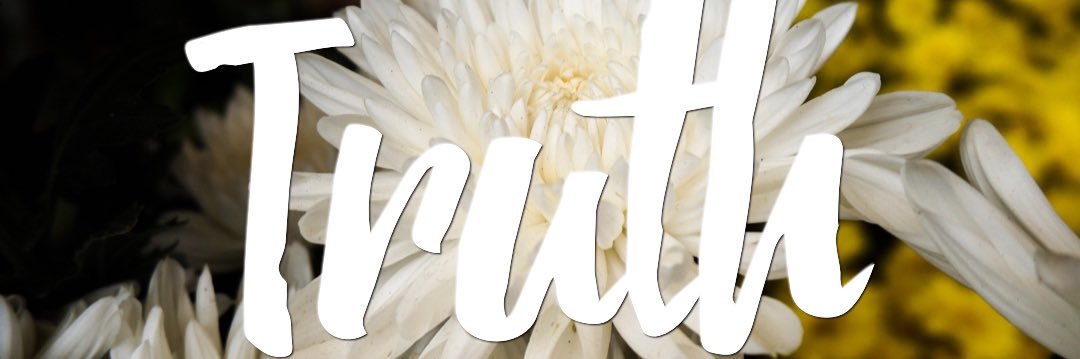 HeavenntHarvard's profile banner image
