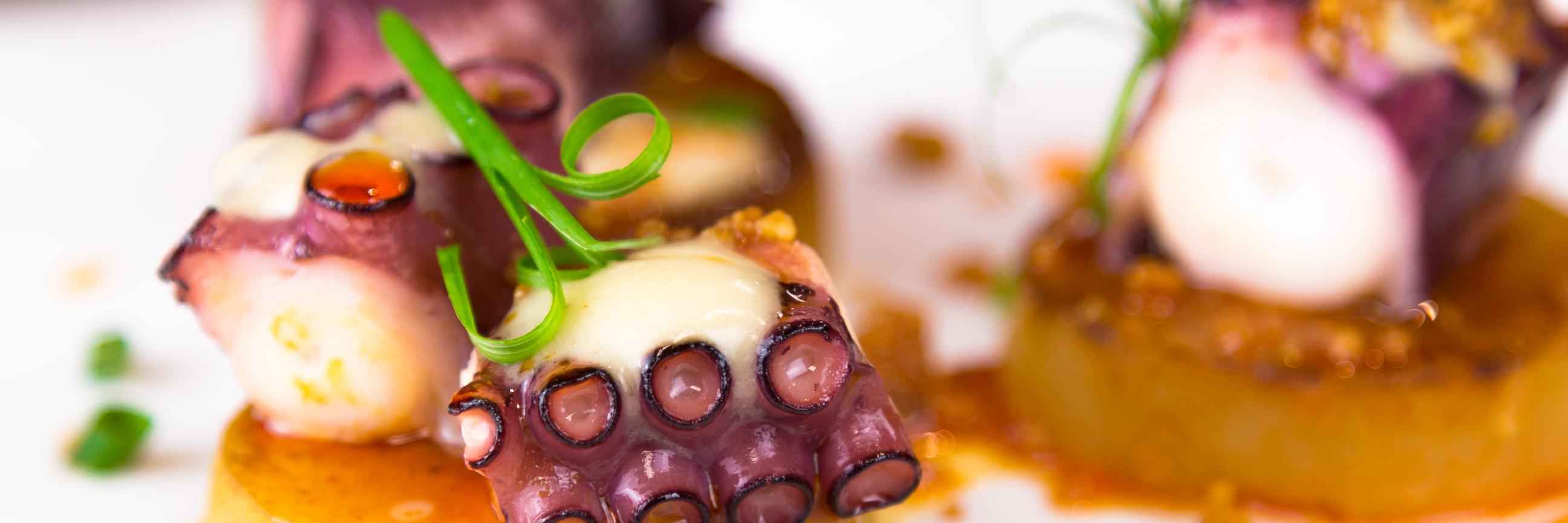 SVideCook's profile banner image