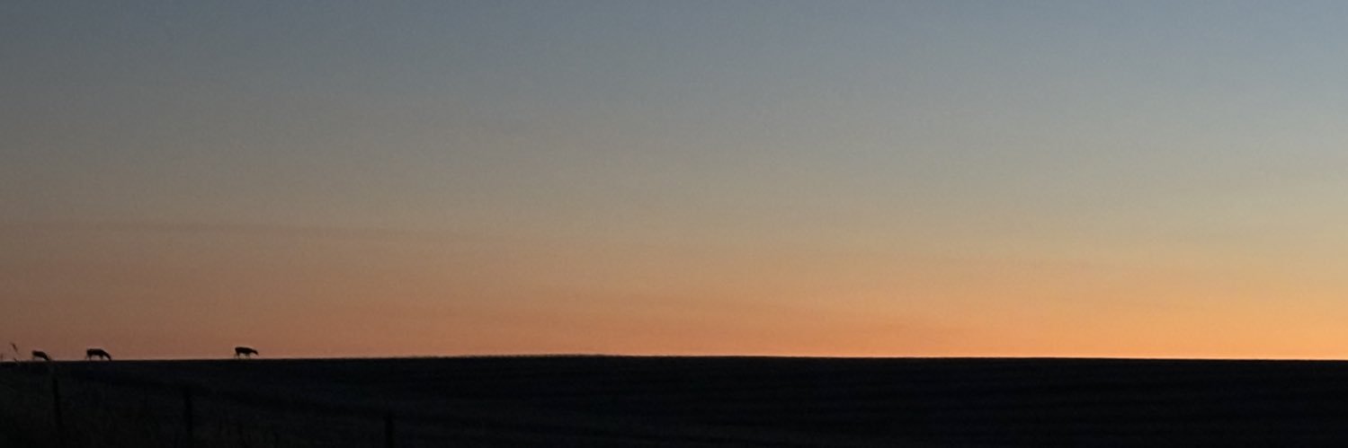 derek_hane26's profile banner image