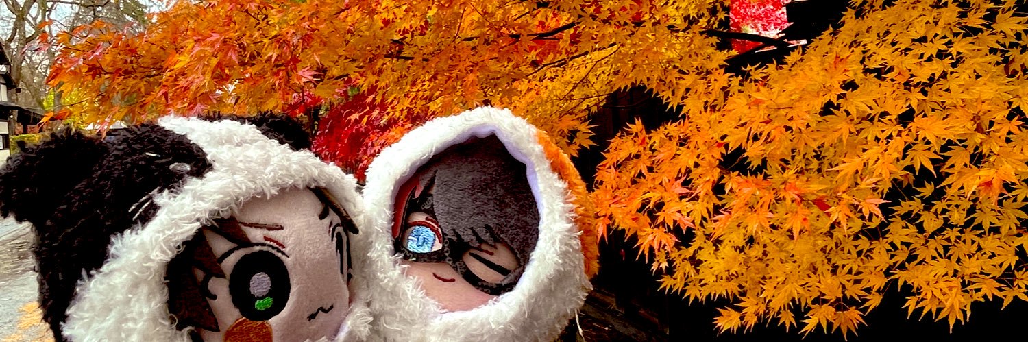 kokoneko_1118's profile banner image