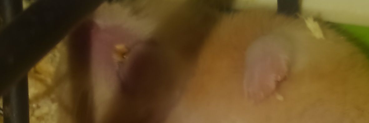 nisshy8686's profile banner image