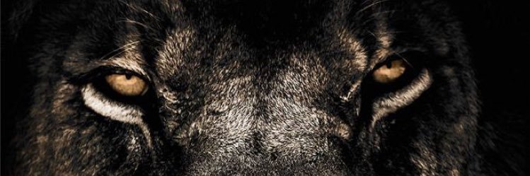 Remyya's profile banner image