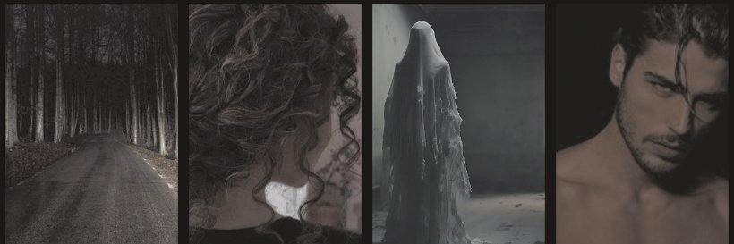 Jessica Shaut banner