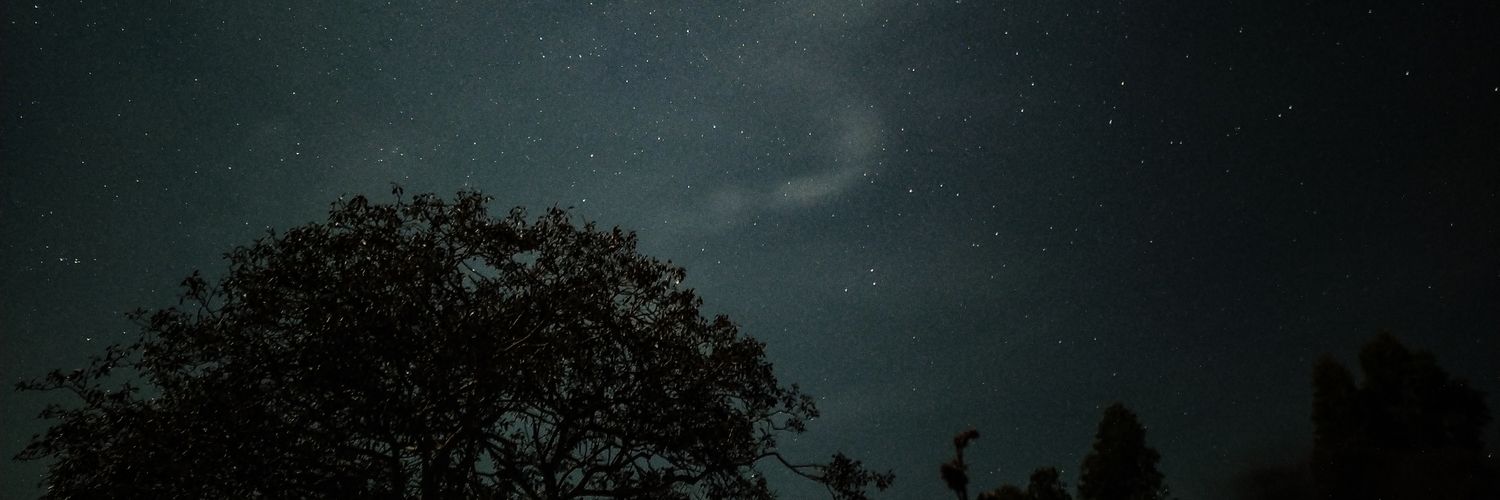 neipqp's profile banner image