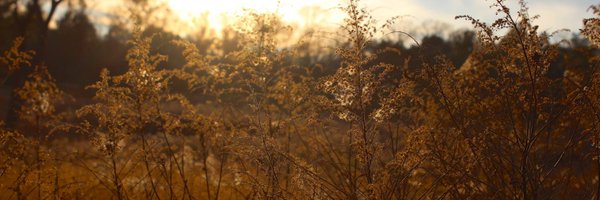 kt_prry Profile Banner