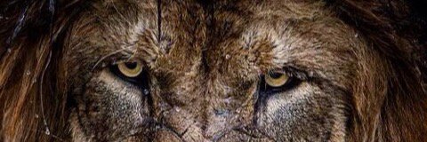 bigchrisno1's profile banner image