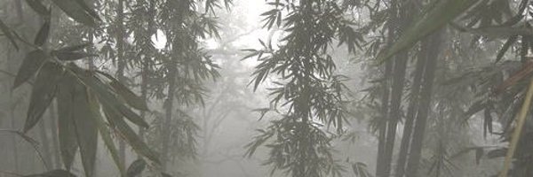 vanessakirbs Profile Banner