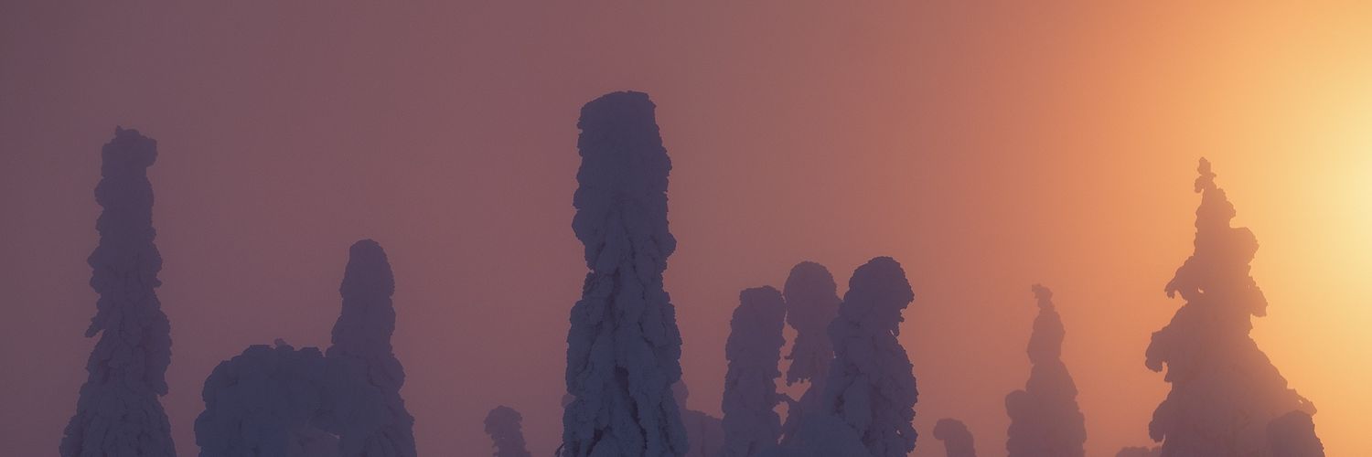 Arild Heitmann banner