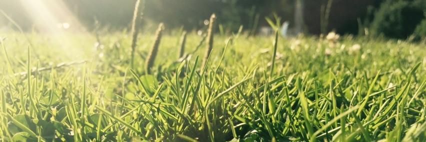 marfelts's profile banner image