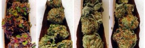 KUSHF8CE Profile Banner