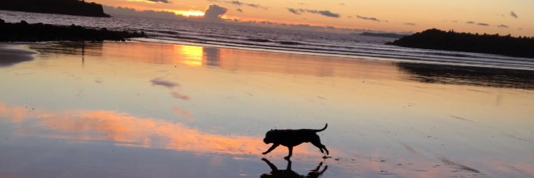 CymruTyler's profile banner image