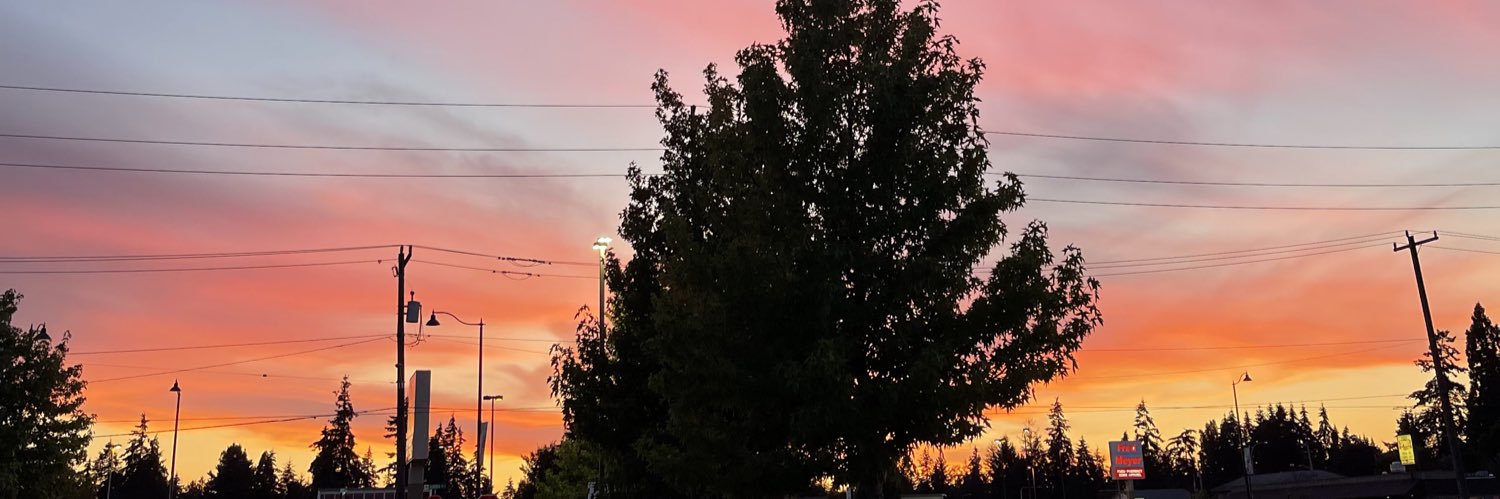 notchinaa's profile banner image