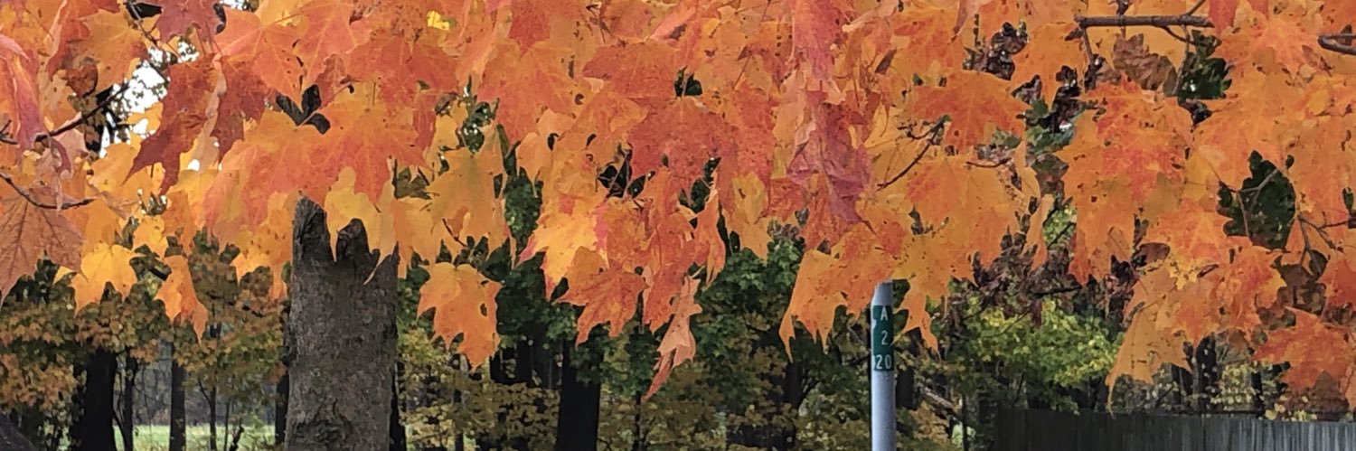 Jeff Roush's banner