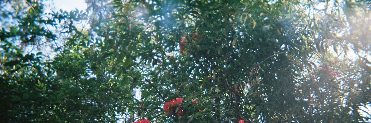바람에게 ♡♡ banner