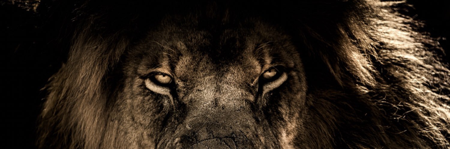 wozza01's profile banner image