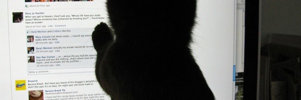 seamunky35's profile banner image