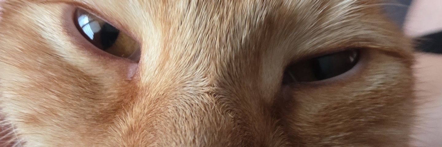 Quentin.Moustache banner