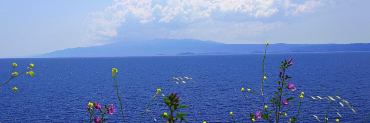 SPapagermanos's profile banner image