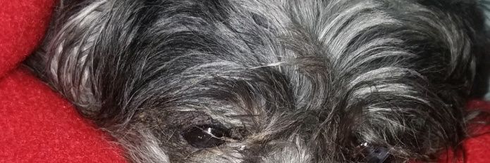 MannyTM70's profile banner image