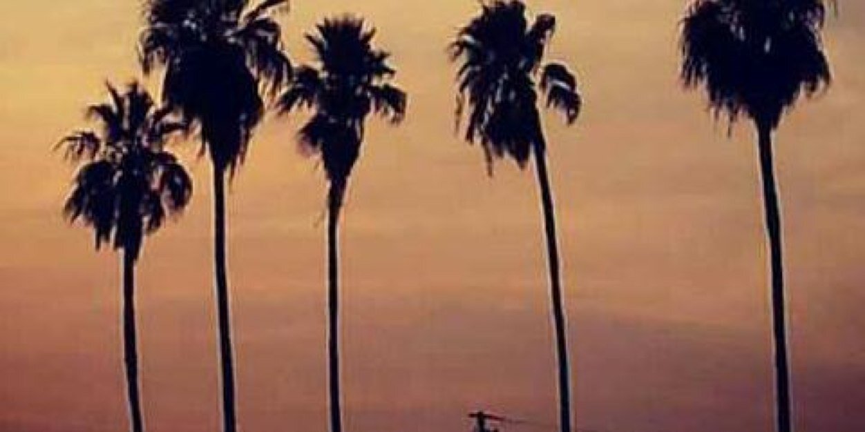 ShakDealZ's profile banner image