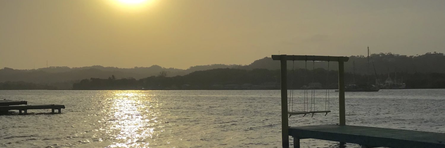 apsolerl's profile banner image