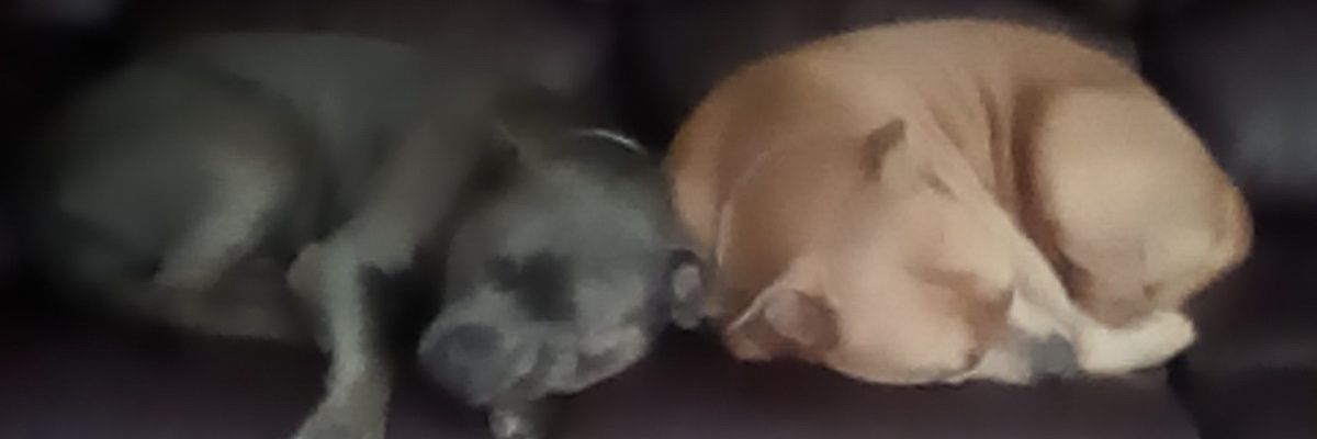 degrove's profile banner image