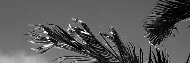 ⚠️ banner