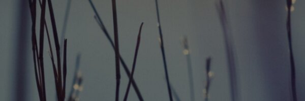 cjohns327 Profile Banner