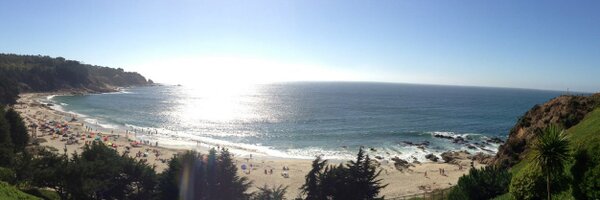 chochemol Profile Banner