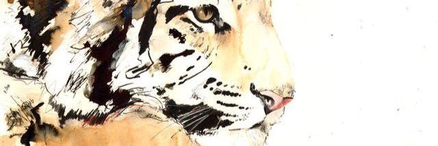 komah87's profile banner image
