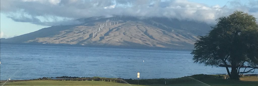 Spankster the Gangster ⭐️🐏 banner