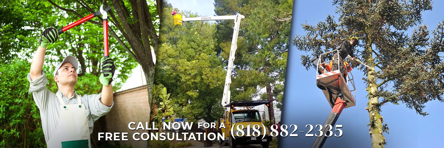 YourWayTreeServ's profile banner image