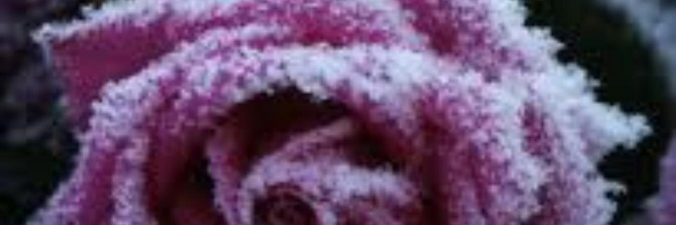 S_L_amont's profile banner image