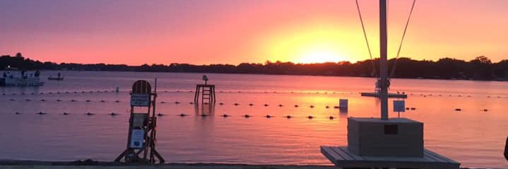 Rob O'Brien (she/her) banner