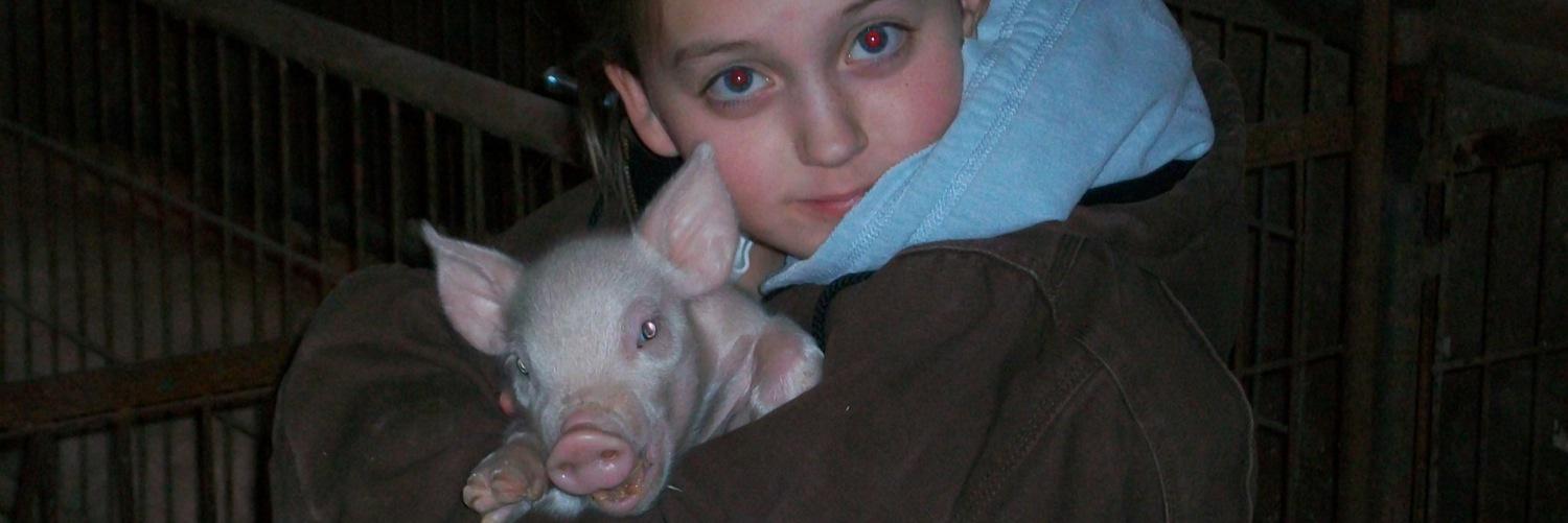 MartensonPigs's profile banner image