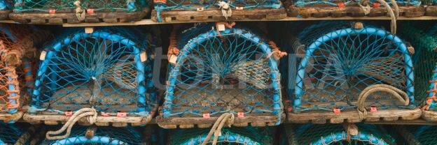 Ridley's Fish & Game banner