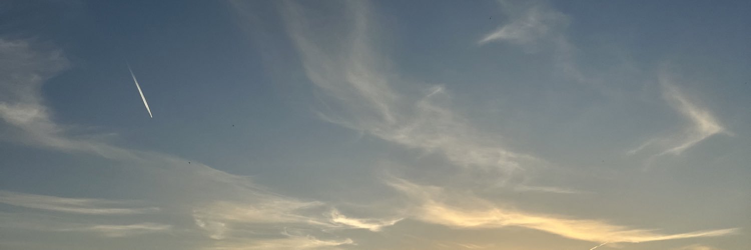 Rachel_Ruane_'s profile banner image