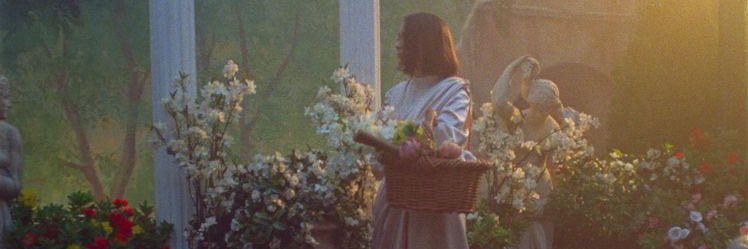 prettyappleface's profile banner image