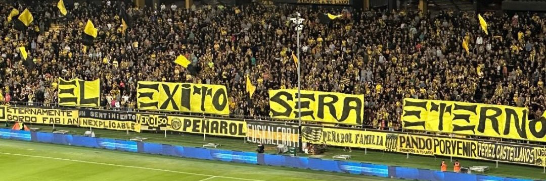 SolRibot's profile banner image