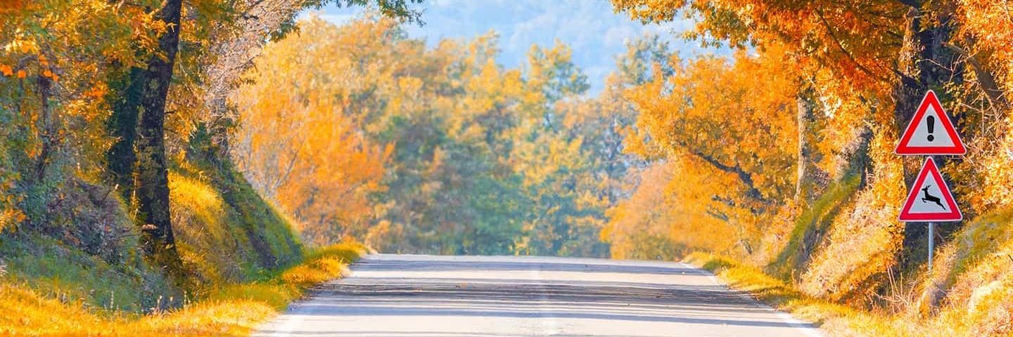 Jaed1627's profile banner image