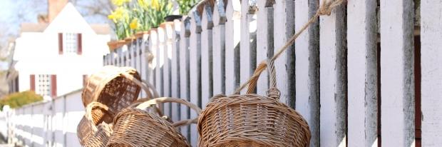LotusDawn's profile banner image