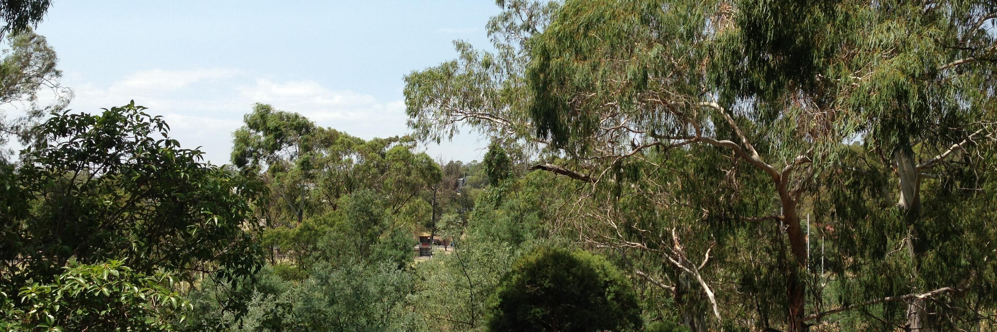 Bev's banner
