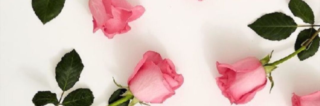 JojoRala's profile banner image