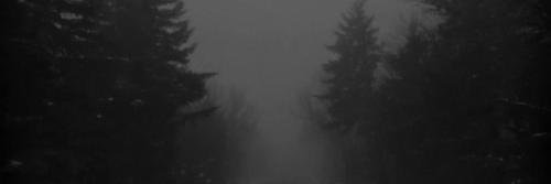 iNicodiAngelo's profile banner image